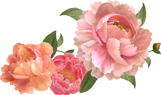 Team building en entreprise à Seysses en Haute-Garonne 31